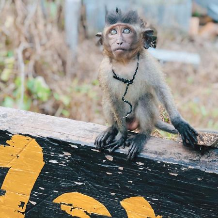 Monkey Bungalow Koh Lanta Luaran gambar